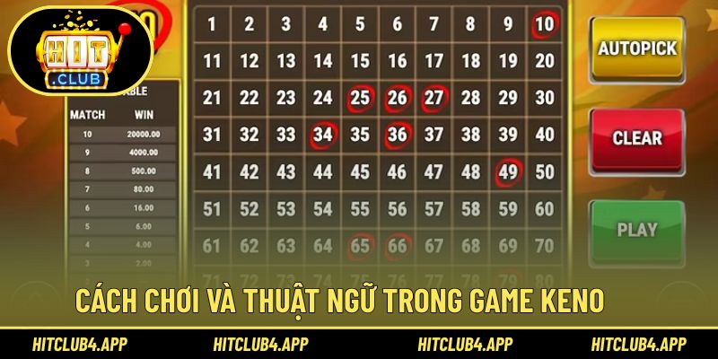 Nắm rõ luật game cùng thuật ngữ để làm chủ cuộc chơi