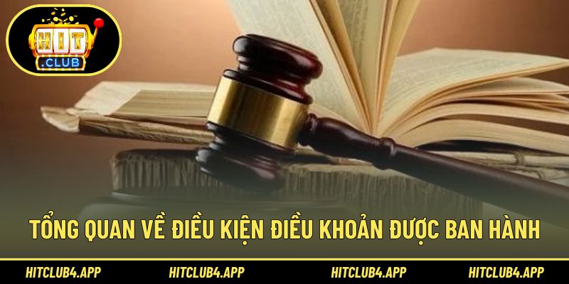 Thông tin tổng quan về điều kiện điều khoản tại Hitclub